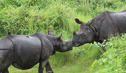 Chitwan National Park